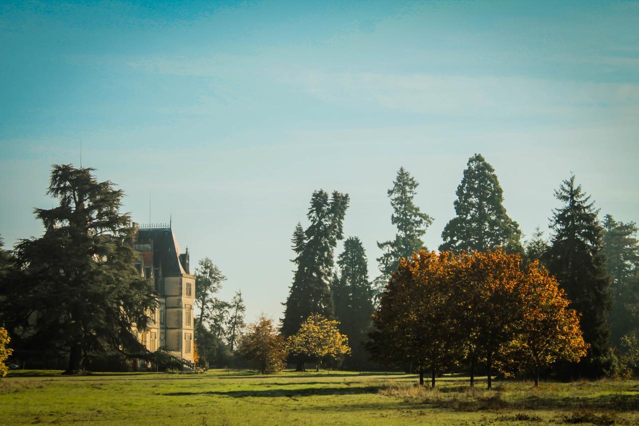 Отель Chateau Le Boisrenault Buzancais Экстерьер фото