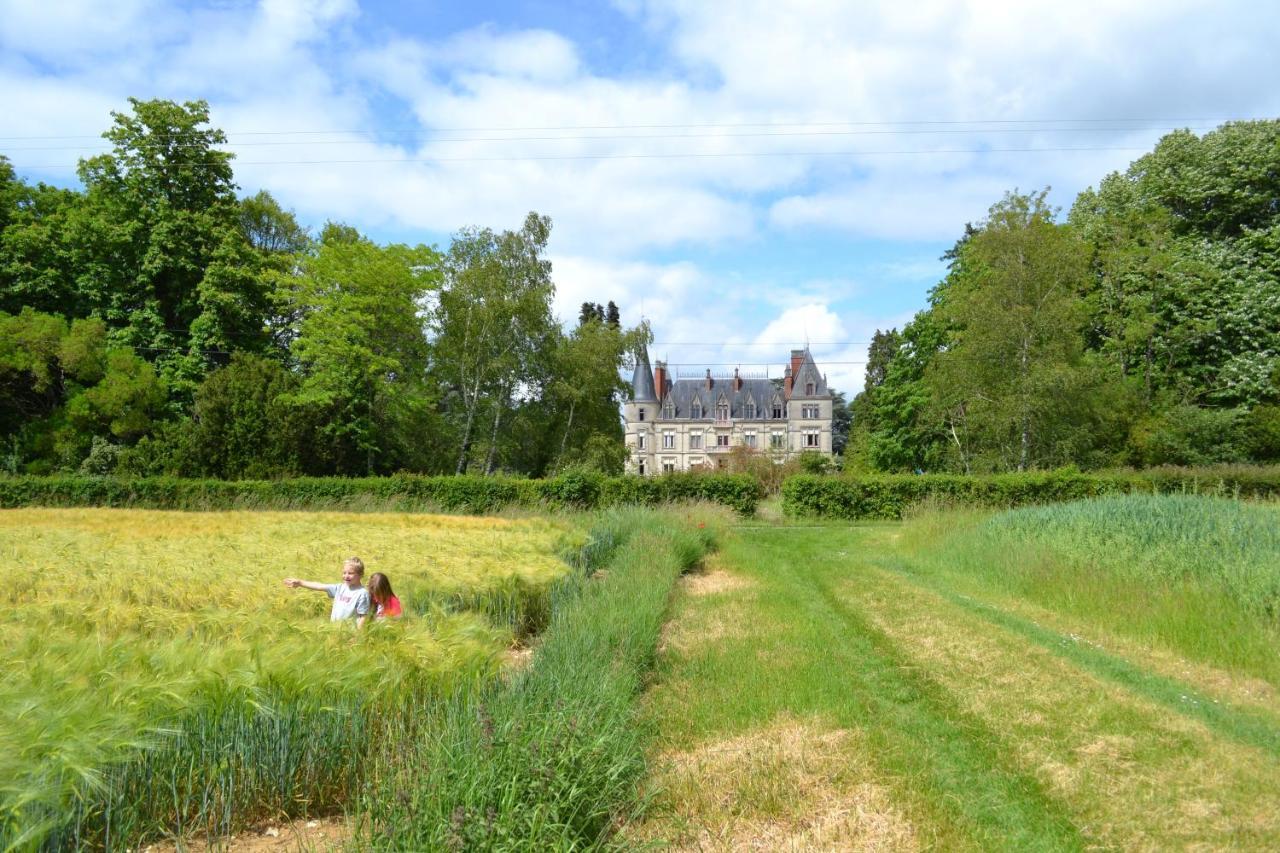 Отель Chateau Le Boisrenault Buzancais Экстерьер фото